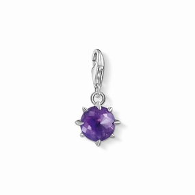 Thomas Sabo CZ Birth Stone February Charm Pendant